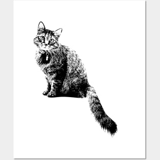 Cats Posters and Art